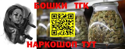 сатива Краснознаменск