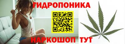 сатива Краснознаменск