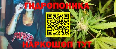 сатива Краснознаменск