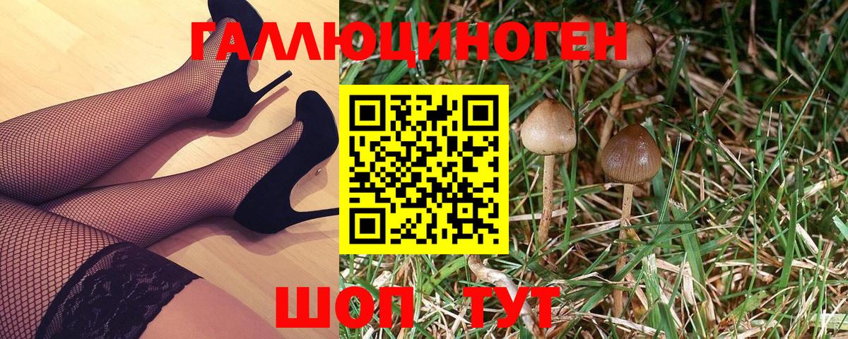 Кольчугино  Псилоцибиновые грибы GOLDEN TEACHER  Вход с VPN 